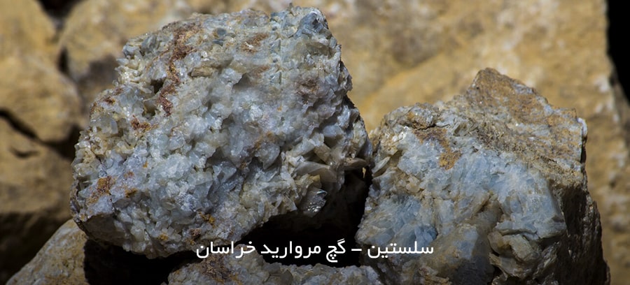 سلستین